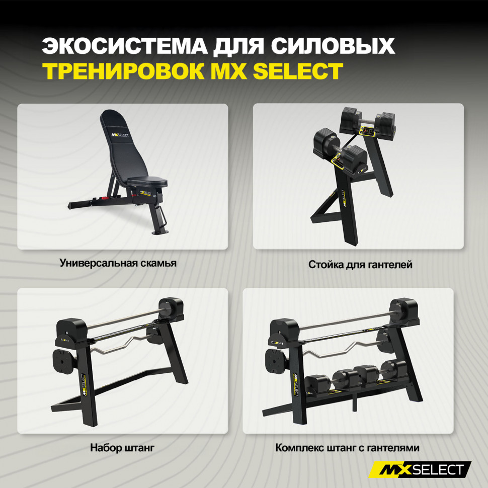 Веса дополнительные для гантелей MX Select, 0.57 кг, 4 шт с держателем