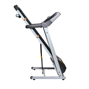 Беговая дорожка Royal Fitness RF-2
