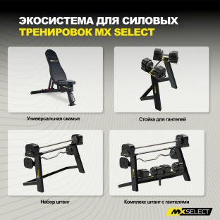 Веса дополнительные для гантелей MX Select, 1.13 кг, 4 шт с держателем