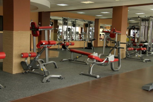 AeroFit IT7007 Гиперэкстензия